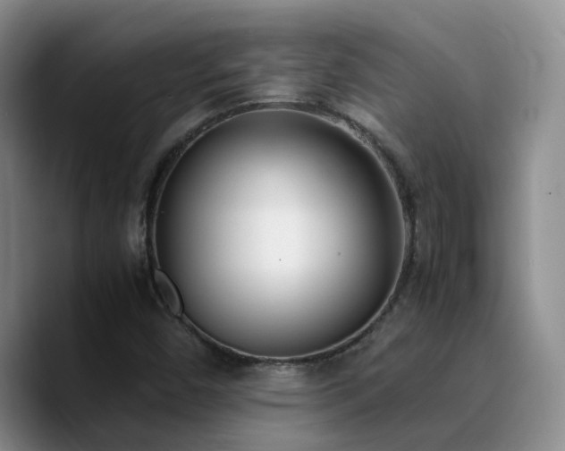 X0000090741450200707201419
