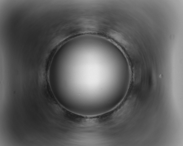 X0000090741453200707201419
