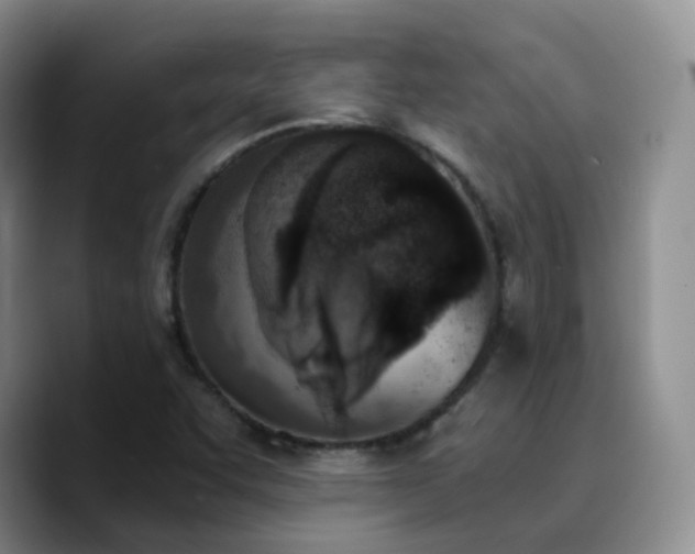 X0000090741455200707201419