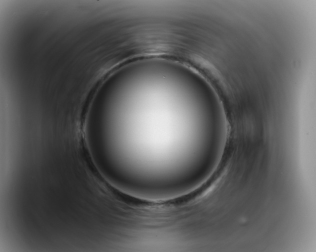 X0000090741457200707201419