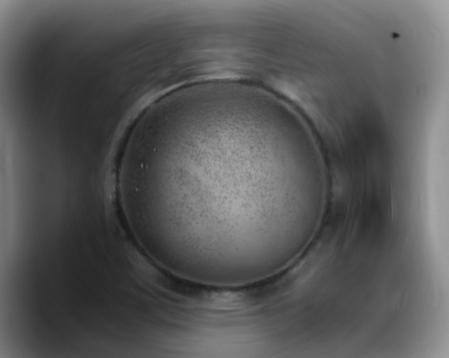 X0000090741459200707201419