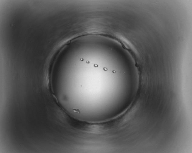 X0000090741461200707201419