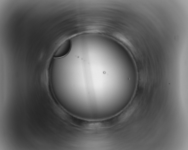X0000090741467200707201419