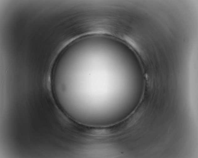 X0000090741468200707201419