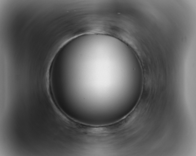 X0000090741479200707201419