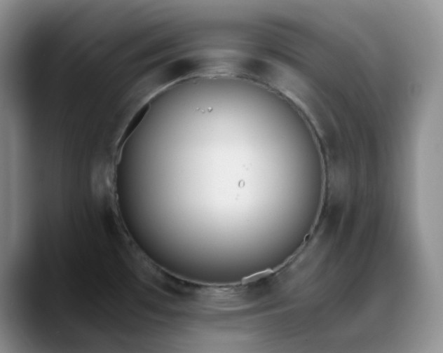 X0000090741481200707201419