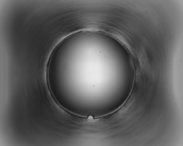 X0000090741484200707201419