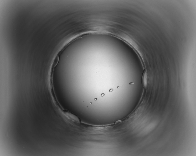 X0000090741485200707201419