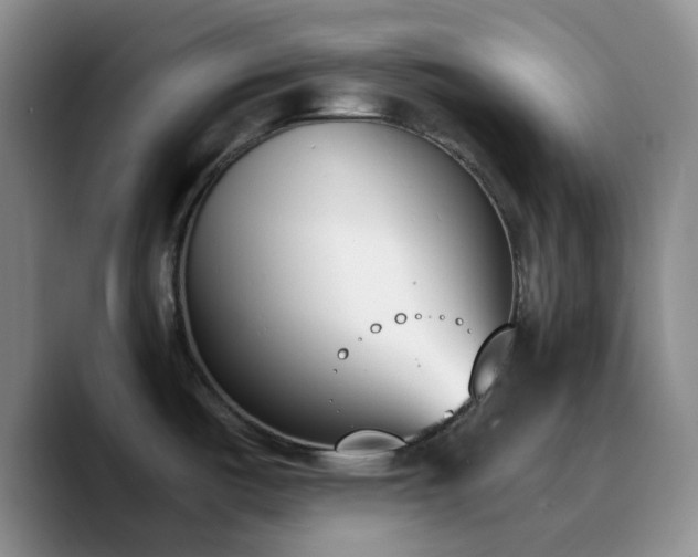 X0000090741487200707201419