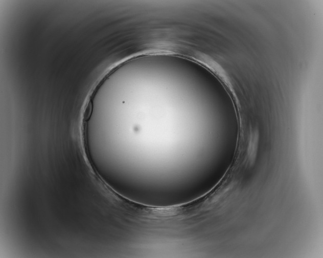 X0000090741488200707201419