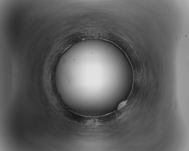 X0000090741489200707201418