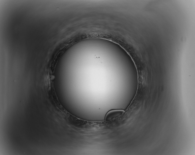 X0000090741493200707201418