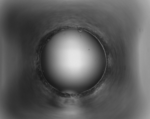 X0000090741494200707201418