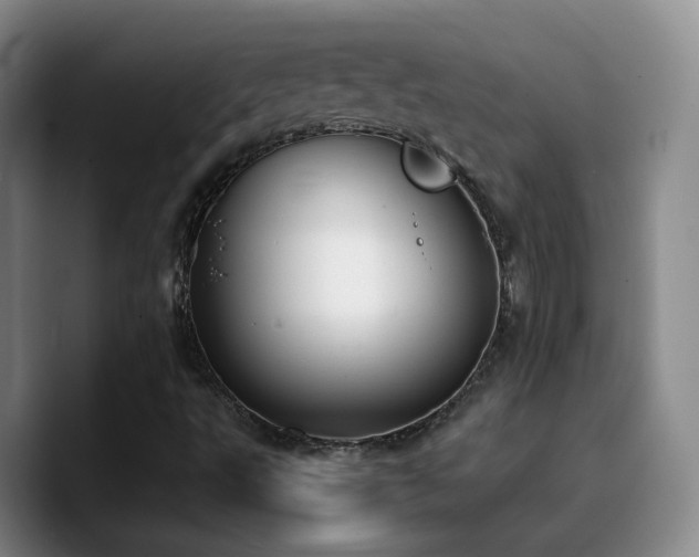 X0000090741495200707201418