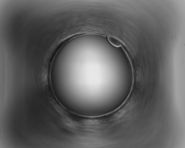X0000090741499200707201418