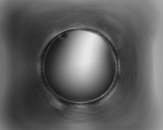 X0000090741501200707201418