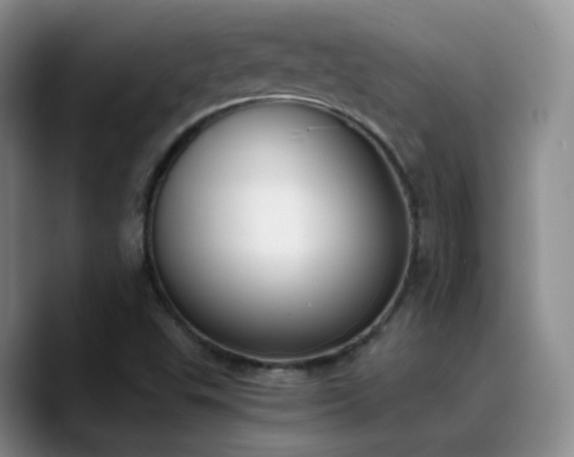 X0000090741503200707201418