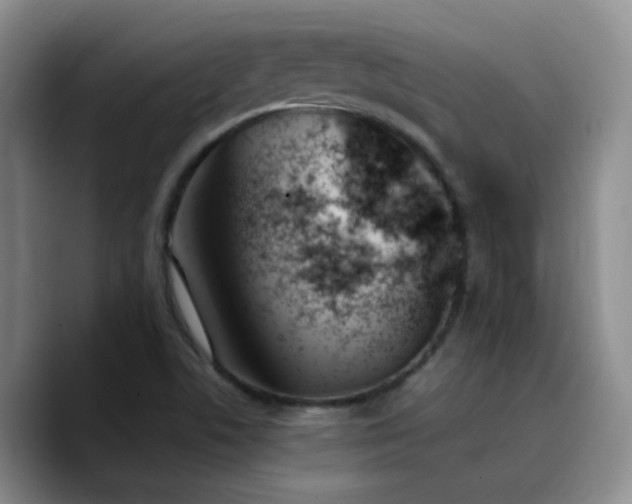 X0000090741506200707201418