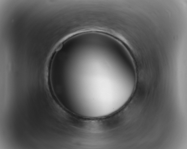 X0000090741508200707201418