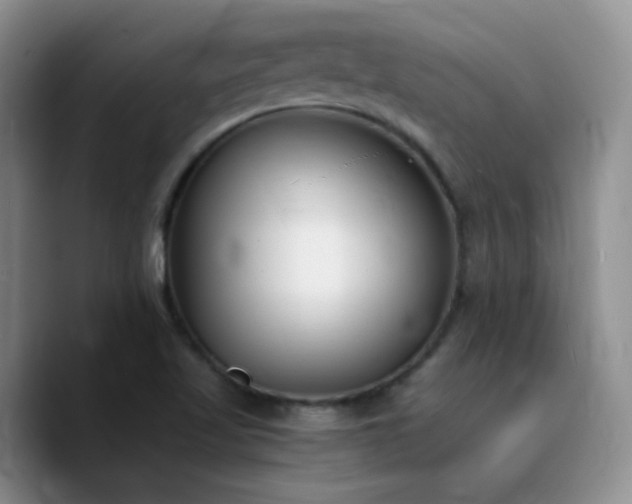 X0000090741509200707201418