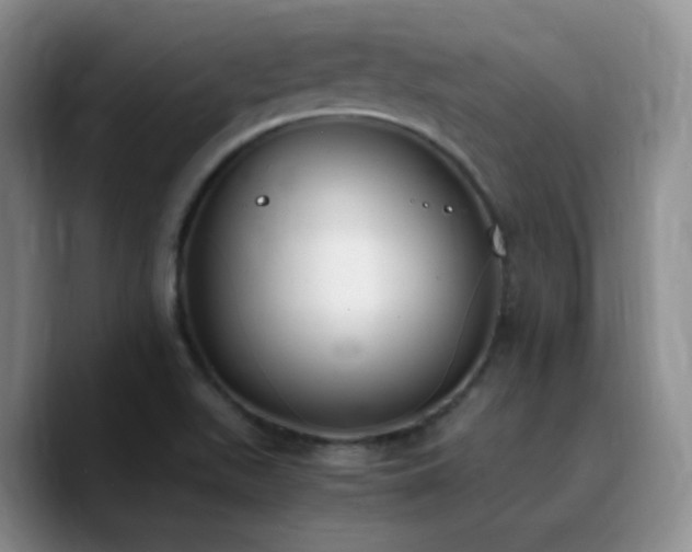 X0000090741511200707201418