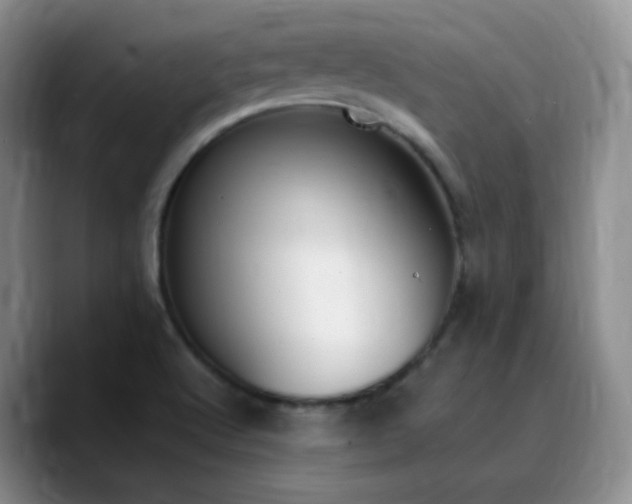 X0000090741512200707201418