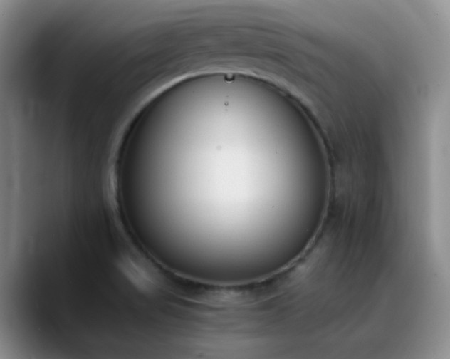 X0000090741517200707201418