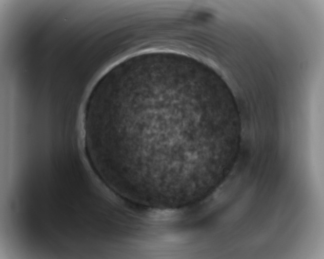 X0000090741522200707201418