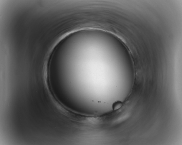 X0000090741523200707201418