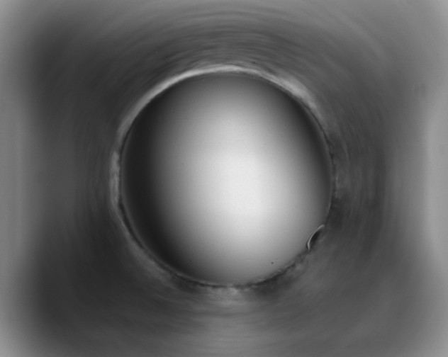 X0000090741524200707201419