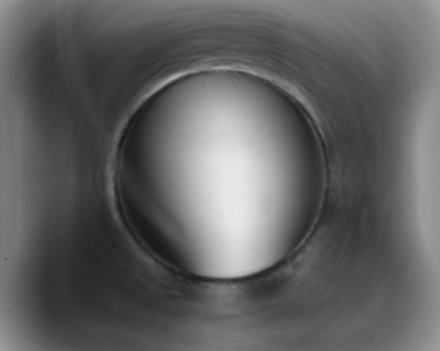 X0000090741525200707201419