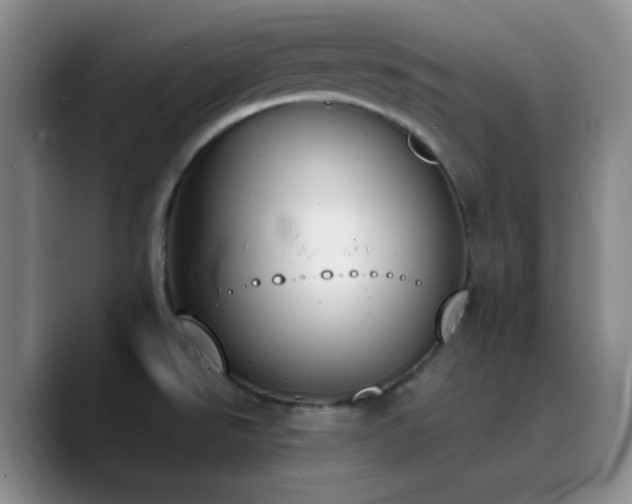 X0000090741526200707201419