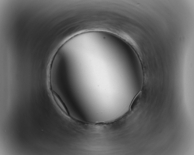 X0000090741528200707201419
