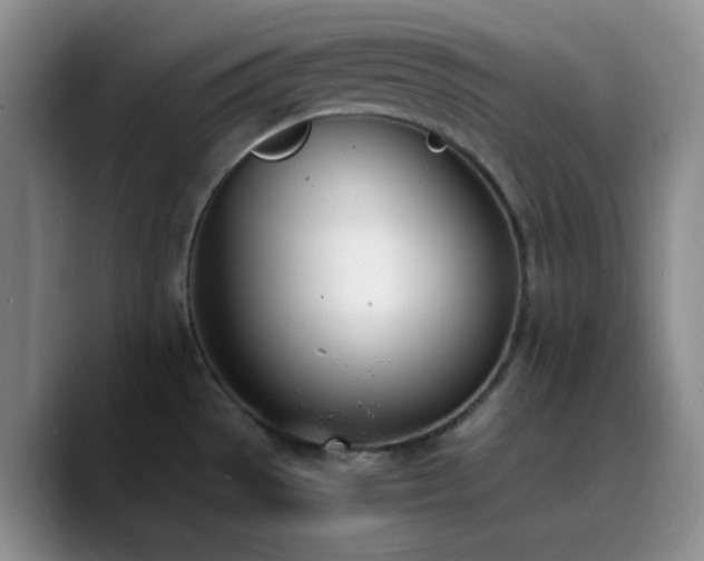 X0000090741529200707201419