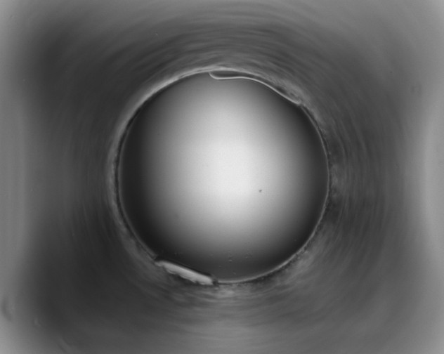X0000090741530200707201419