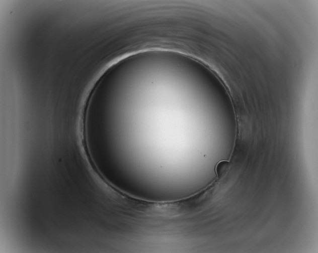 X0000090741531200707201419