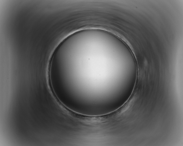 X0000090741533200707201419