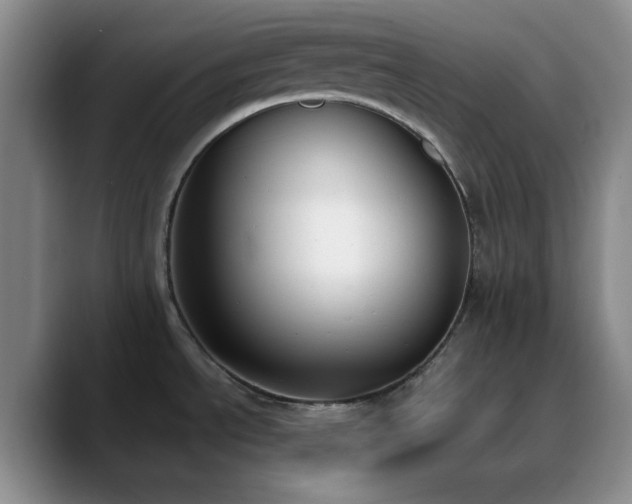 X0000090741534200707201419