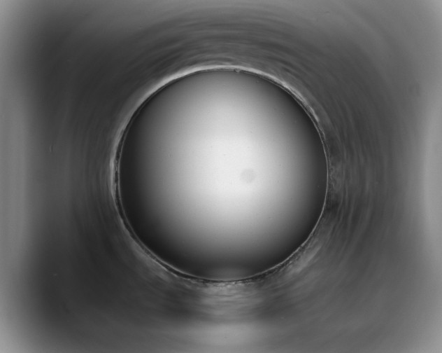 X0000090741535200707201419
