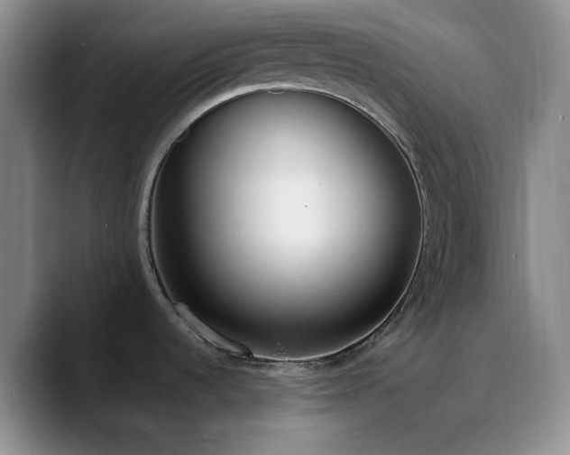 X0000090741536200707201419