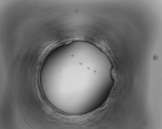 X0000090740001200707271434