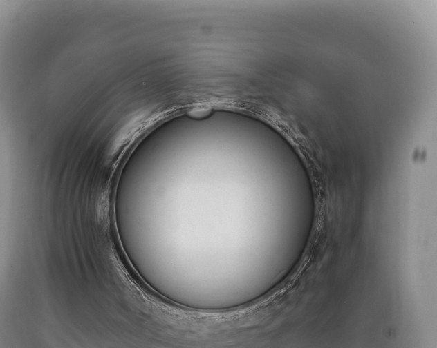 X0000090740002200707271434