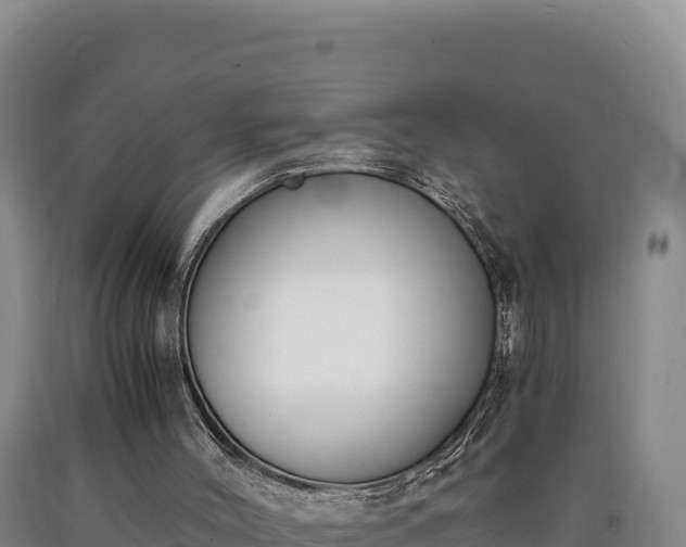 X0000090740004200707271434