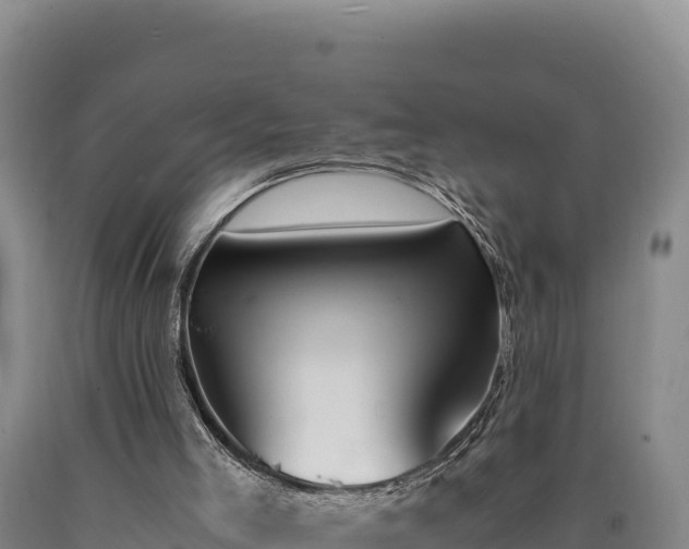 X0000090740005200707271434