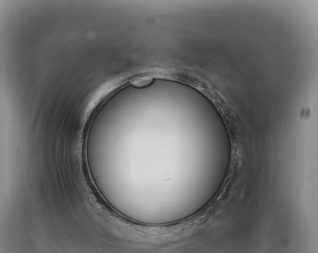 X0000090740006200707271434