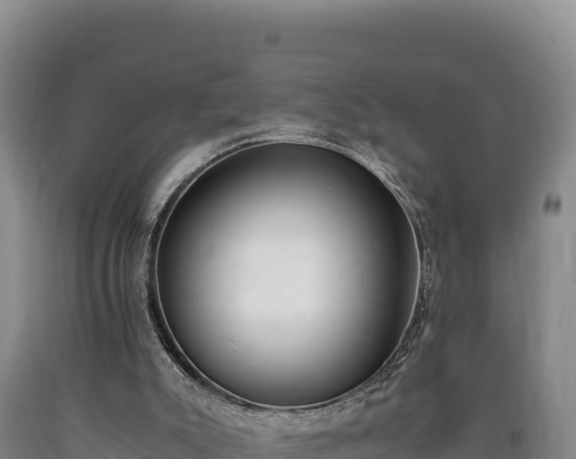 X0000090740007200707271434