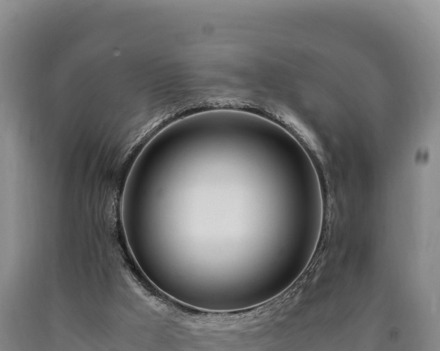 X0000090740009200707271434