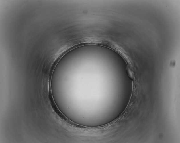 X0000090740011200707271434