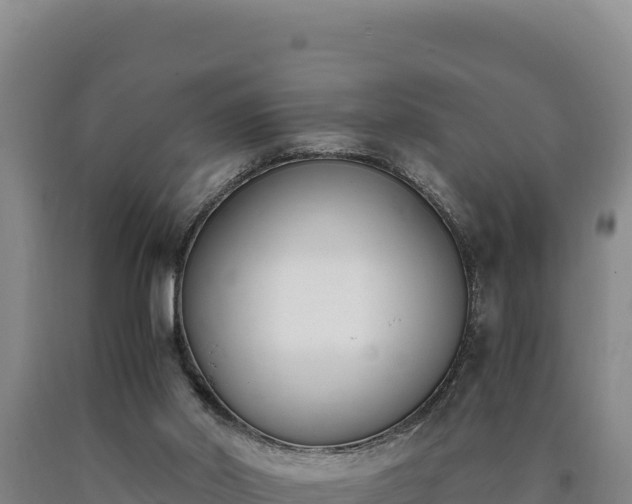 X0000090740014200707271434