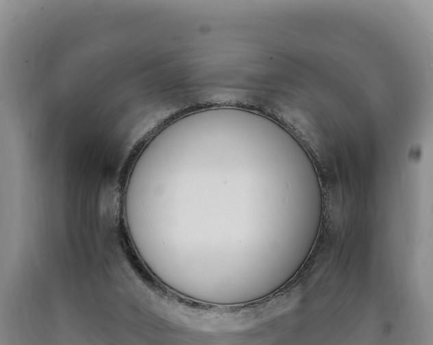 X0000090740016200707271434